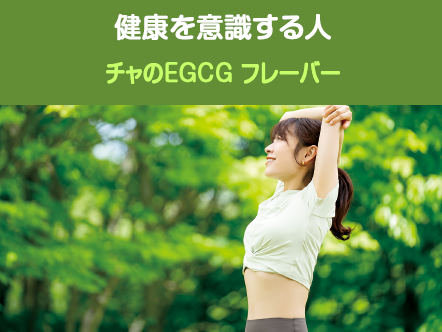 健康を意識する人に──チャのEGCG（自然の健康を味わう）